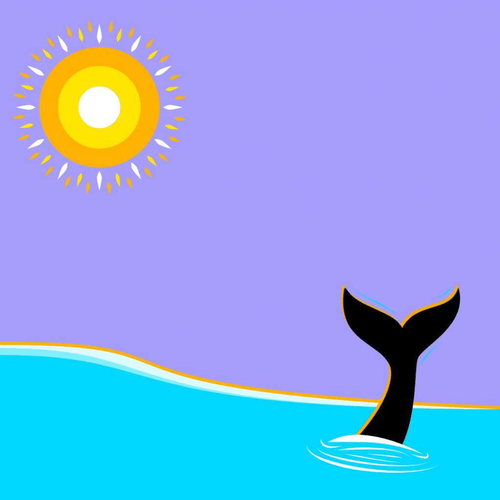 Whale tail and sun over ocean.